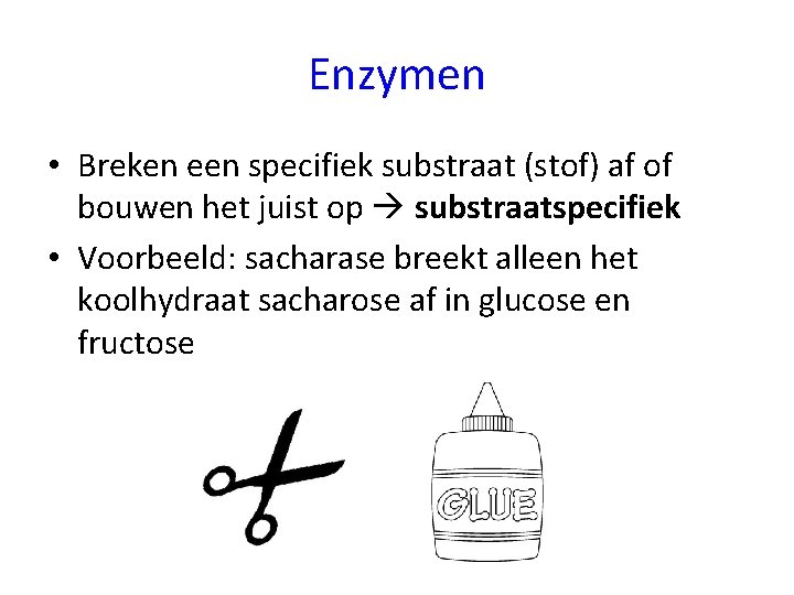 Enzymen • Breken een specifiek substraat (stof) af of bouwen het juist op substraatspecifiek