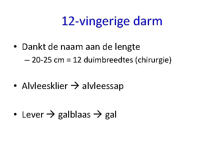 12 -vingerige darm • Dankt de naam aan de lengte – 20 -25 cm