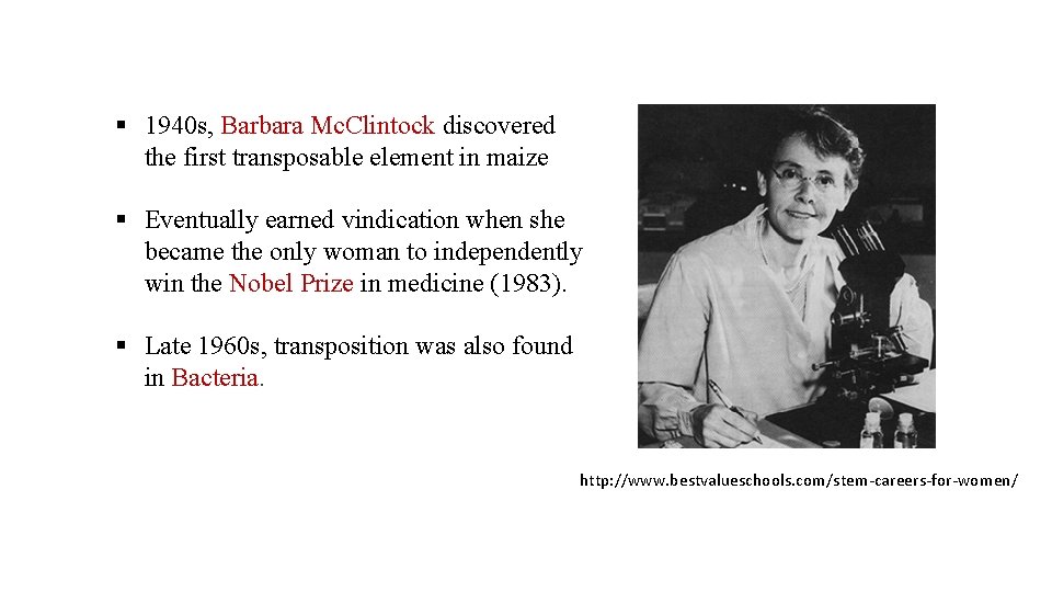 § 1940 s, Barbara Mc. Clintock discovered the first transposable element in maize §