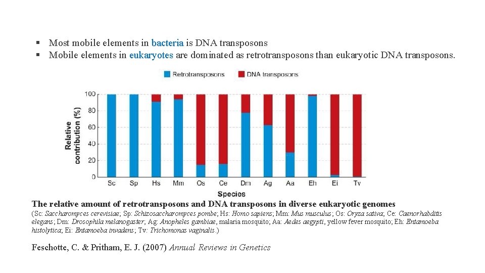 § Most mobile elements in bacteria is DNA transposons bacteria § Mobile elements in