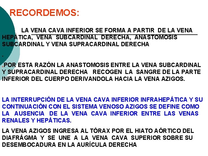 RECORDEMOS: LA VENA CAVA INFERIOR SE FORMA A PARTIR DE LA VENA HEPÁTICA, VENA