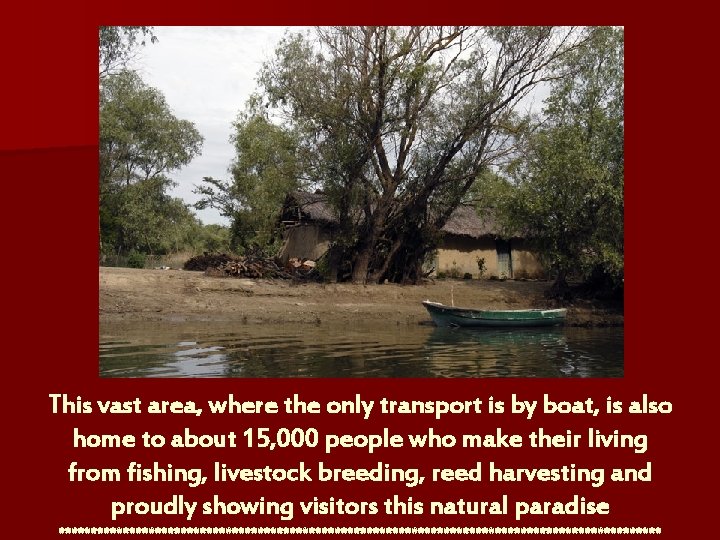 This vast area, where the only transport is by boat, is also home to