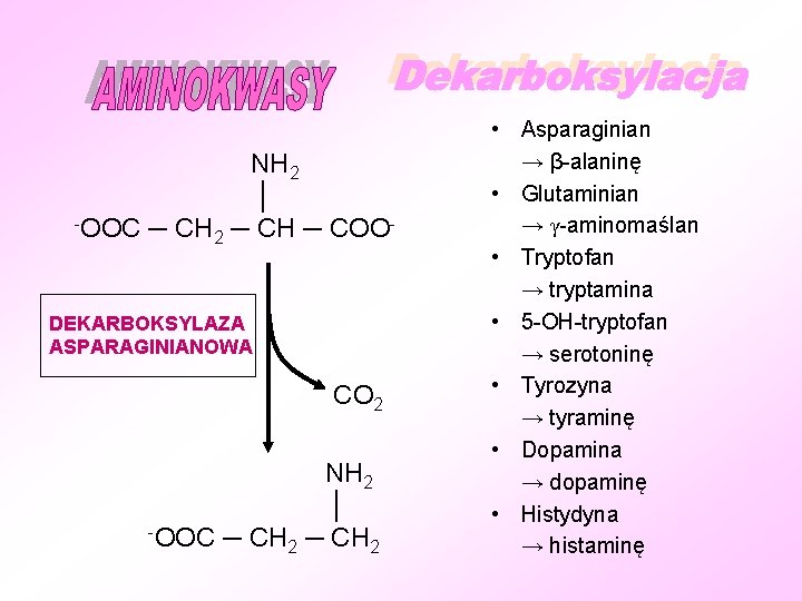 NH 2 │ -OOC ─ CH ─ COO 2 DEKARBOKSYLAZA ASPARAGINIANOWA CO 2 NH