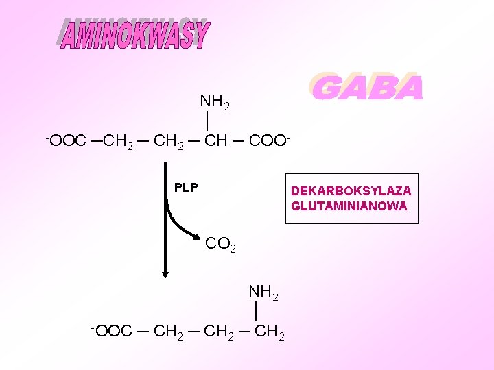 NH 2 │ -OOC ─CH ─ COO 2 2 PLP DEKARBOKSYLAZA GLUTAMINIANOWA CO 2