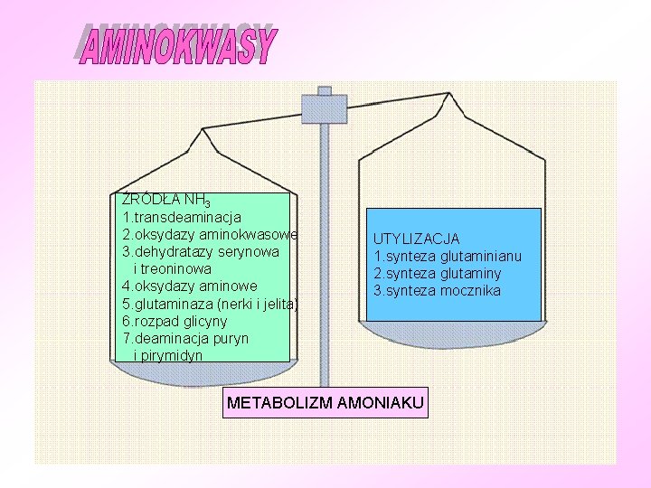 ŹRÓDŁA NH 3 1. transdeaminacja 2. oksydazy aminokwasowe 3. dehydratazy serynowa i treoninowa 4.