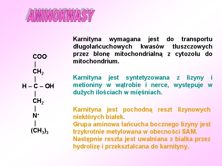 COO| CH 2 | H – C – OH | CH 2 | N+