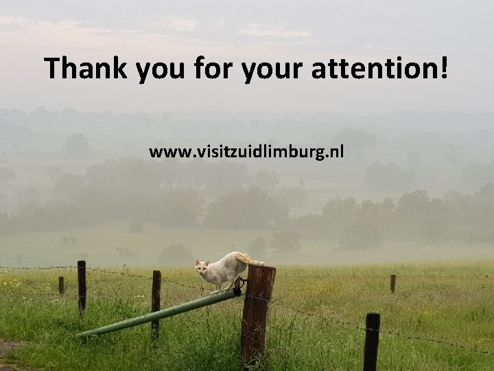 Thank you for your attention! www. visitzuidlimburg. nl 