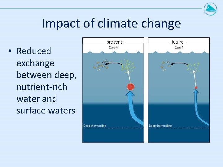 Impact of climate change present • Reduced exchange between deep, nutrient-rich water and surface