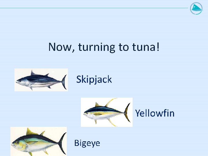 Now, turning to tuna! 