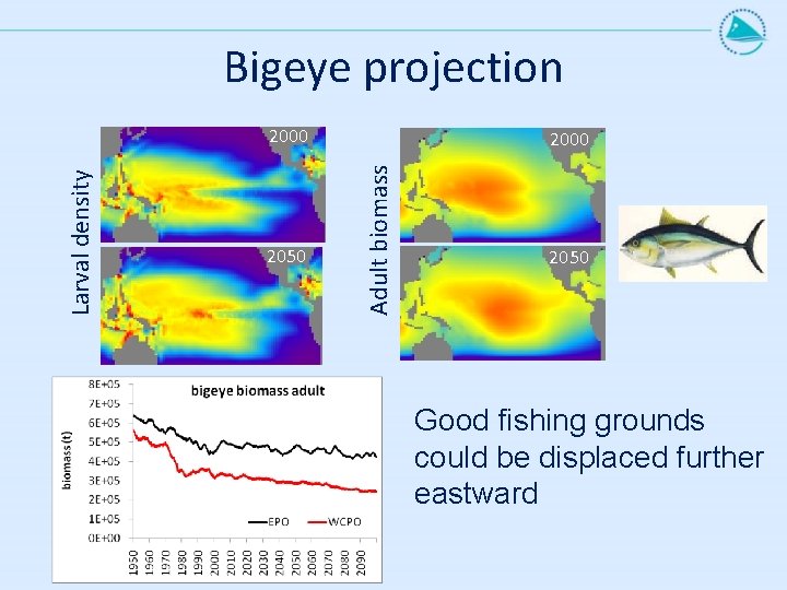 Bigeye projection 2050 2000 Adult biomass Larval density 2000 2050 Good fishing grounds could