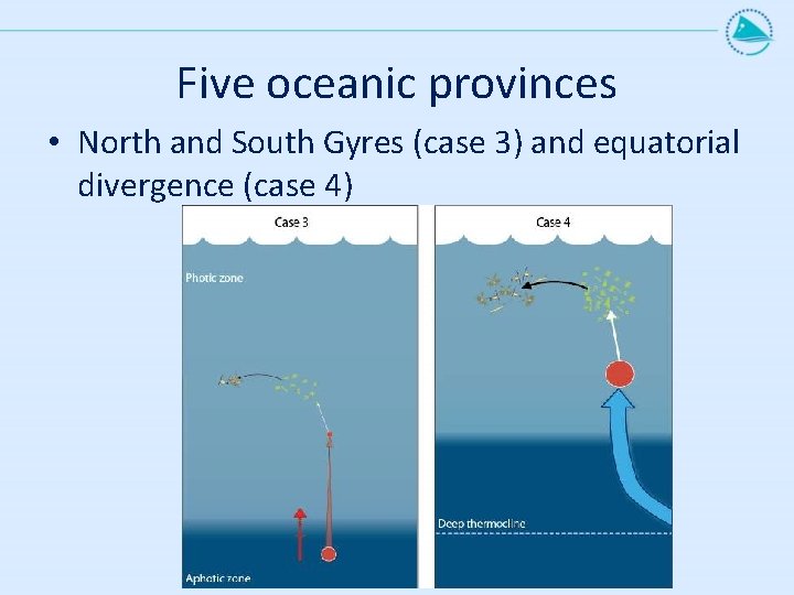 Five oceanic provinces • North and South Gyres (case 3) and equatorial divergence (case