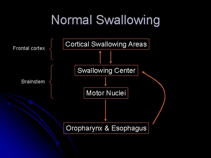 Normal Swallowing Frontal cortex Cortical Swallowing Areas Swallowing Center Brainstem Motor Nuclei Oropharynx &