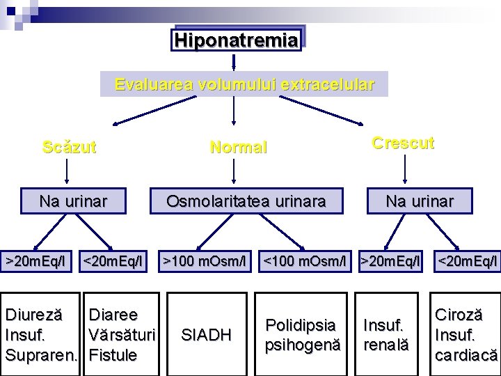 Hiponatremia Evaluarea volumuluiextracelular Scăzut Na urinar >20 m. Eq/l <20 m. Eq/l Diaree Diureză