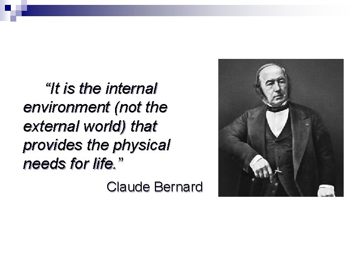“It is the internal environment (not the external world) that provides the physical needs