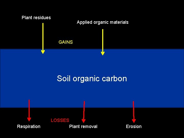 Plant residues Applied organic materials GAINS Soil organic carbon LOSSES Respiration Plant removal Erosion