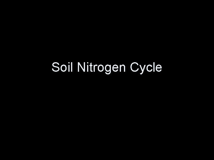 Soil Nitrogen Cycle 