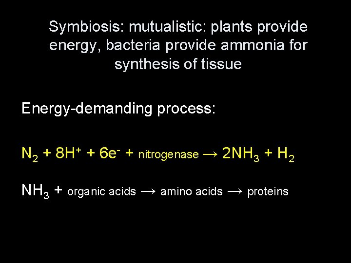 Symbiosis: mutualistic: plants provide energy, bacteria provide ammonia for synthesis of tissue Energy-demanding process: