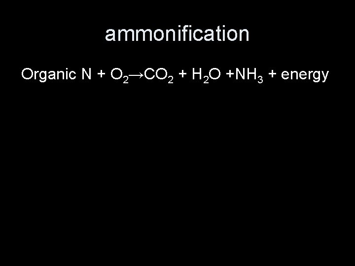 ammonification Organic N + O 2→CO 2 + H 2 O +NH 3 +