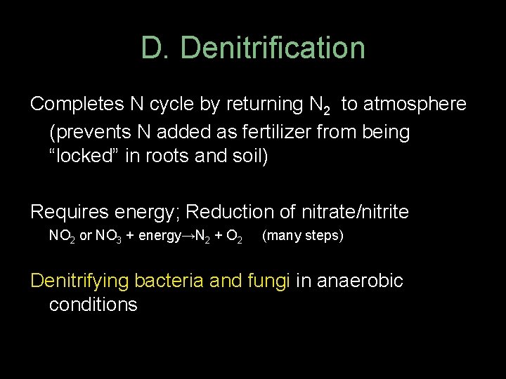 D. Denitrification Completes N cycle by returning N 2 to atmosphere (prevents N added