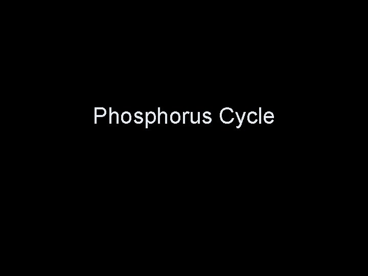 Phosphorus Cycle 