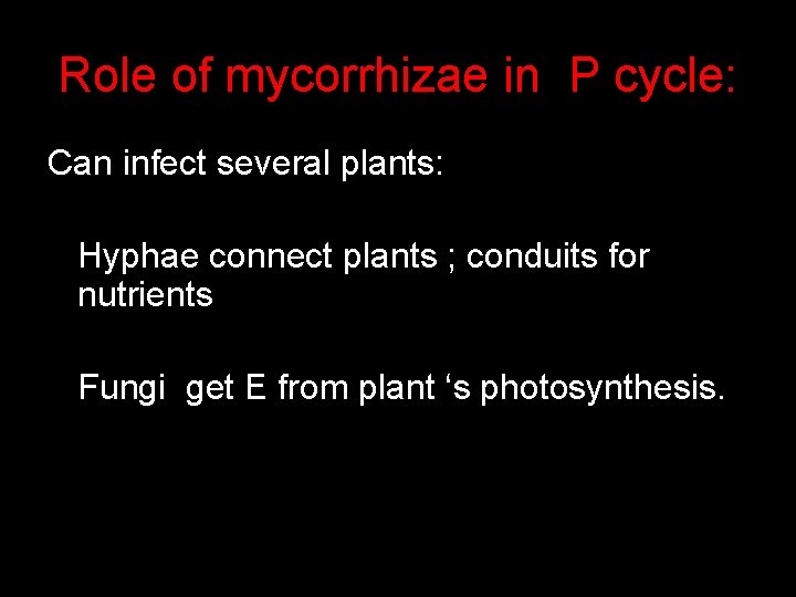 Role of mycorrhizae in P cycle: Can infect several plants: Hyphae connect plants ;