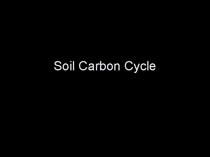 Soil Carbon Cycle 