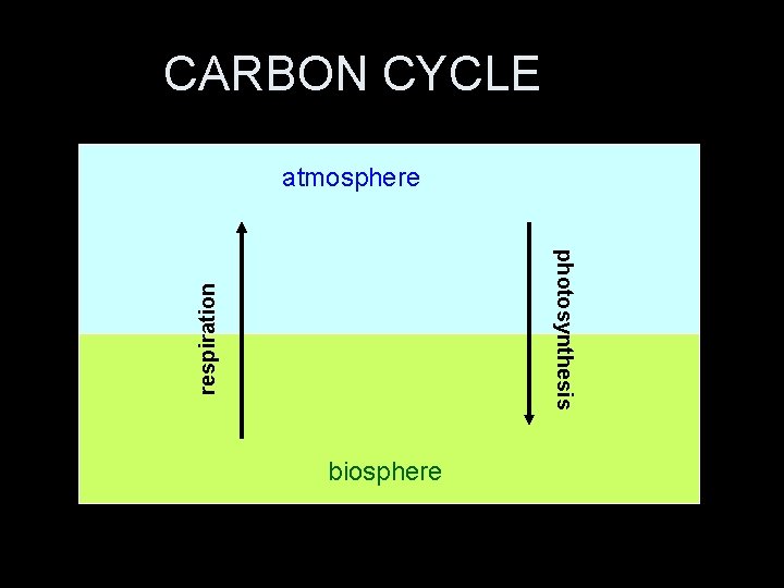 CARBON CYCLE atmosphere respiration photosynthesis biosphere 