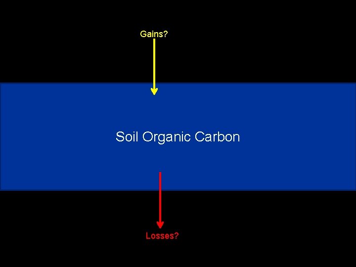 Gains? Soil Organic Carbon Losses? 