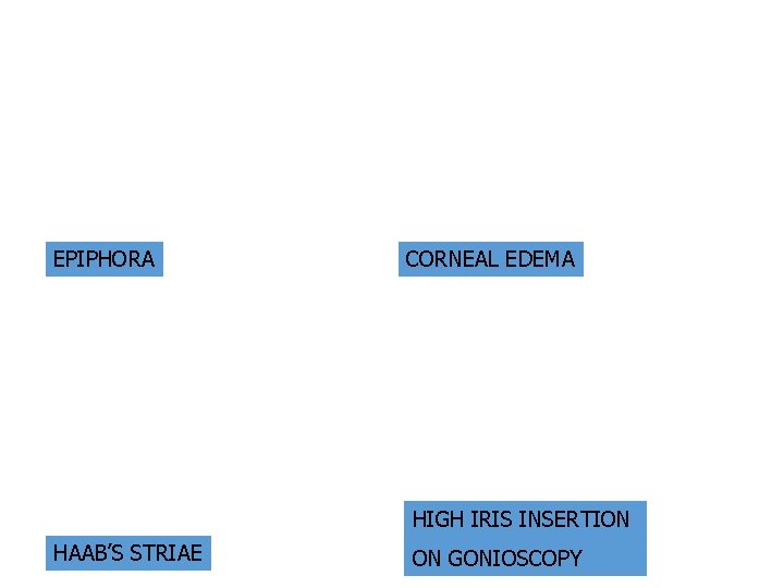 EPIPHORA CORNEAL EDEMA HIGH IRIS INSERTION HAAB’S STRIAE ON GONIOSCOPY 