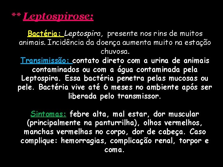 ** Leptospirose: Bactéria: Leptospira, presente nos rins de muitos animais. Incidência da doença aumenta