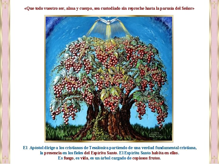  «Que todo vuestro ser, alma y cuerpo, sea custodiado sin reproche hasta la