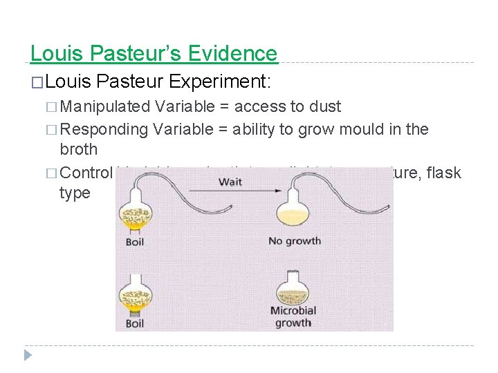 Louis Pasteur’s Evidence �Louis Pasteur Experiment: � Manipulated Variable = access to dust �
