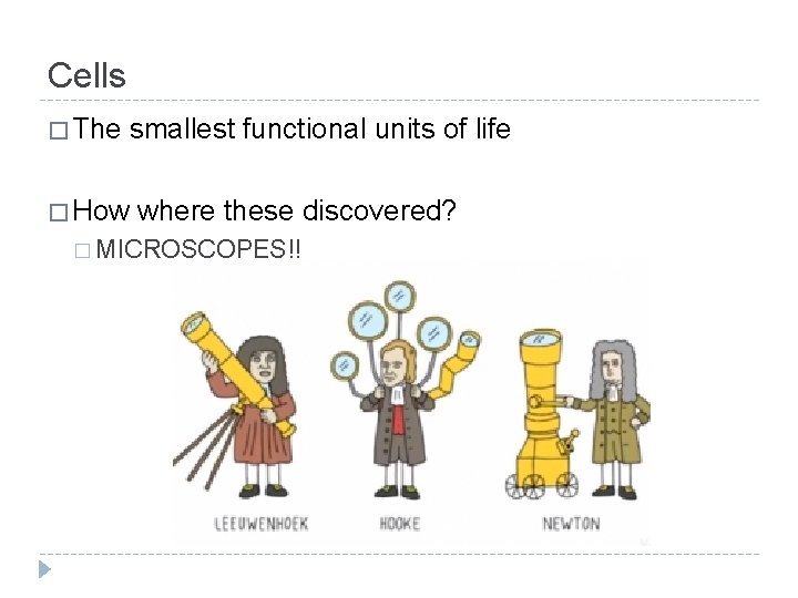 Cells � The smallest functional units of life � How where these discovered? �