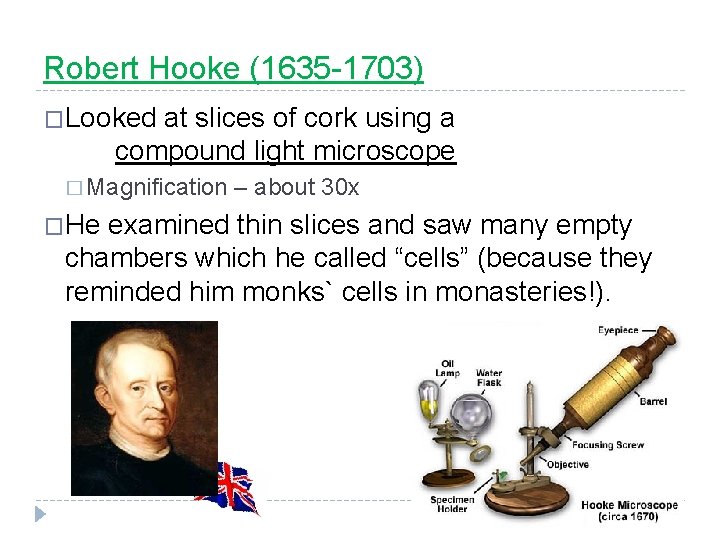 Robert Hooke (1635 -1703) �Looked at slices of cork using a compound light microscope