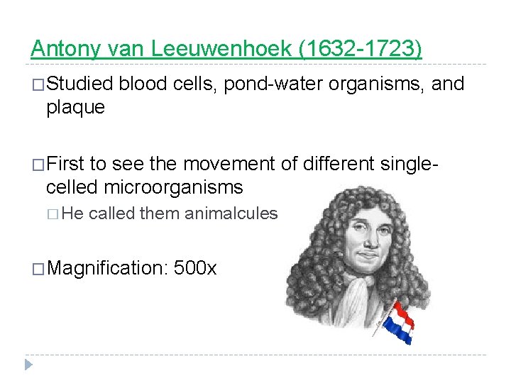 Antony van Leeuwenhoek (1632 -1723) �Studied blood cells, pond-water organisms, and plaque �First to