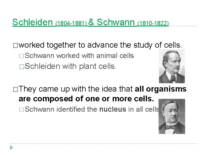 Schleiden (1804 -1881) & Schwann (1810 -1822) �worked together to advance the study of