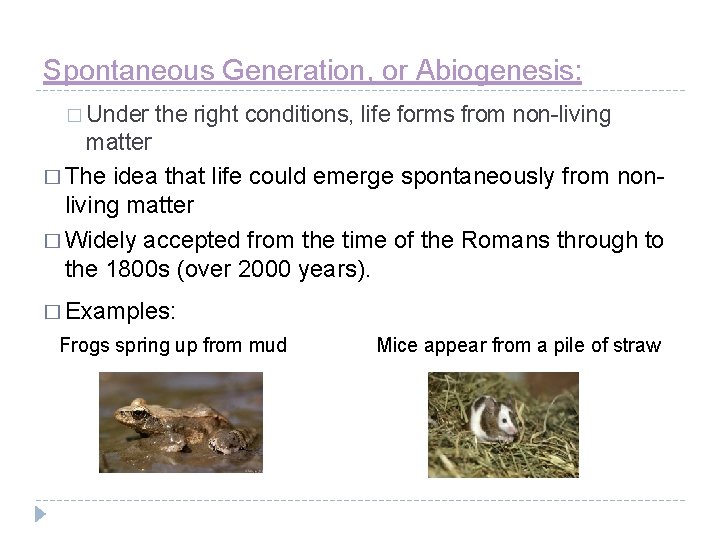 Spontaneous Generation, or Abiogenesis: � Under the right conditions, life forms from non-living matter