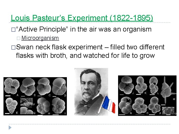Louis Pasteur’s Experiment (1822 -1895) �“Active Principle” in the air was an organism �