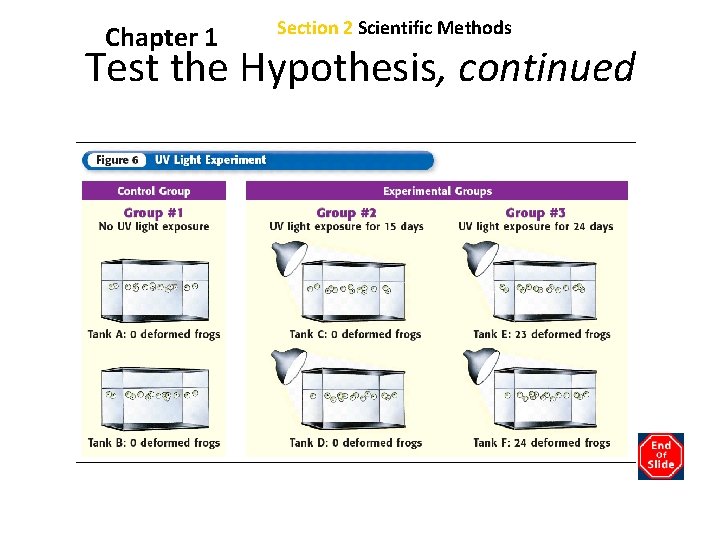 Chapter 1 Section 2 Scientific Methods Test the Hypothesis, continued 