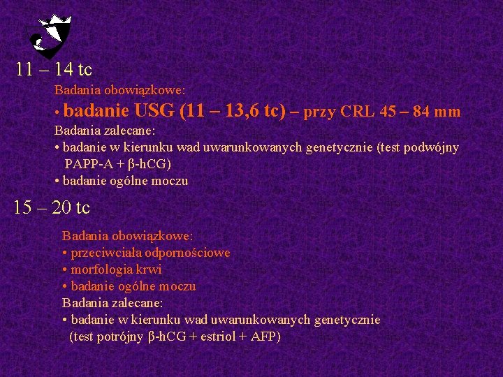 11 – 14 tc Badania obowiązkowe: • badanie USG (11 – 13, 6 tc)