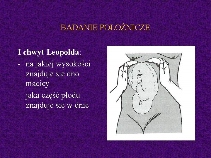 BADANIE POŁOŻNICZE I chwyt Leopolda: - na jakiej wysokości znajduje się dno macicy -