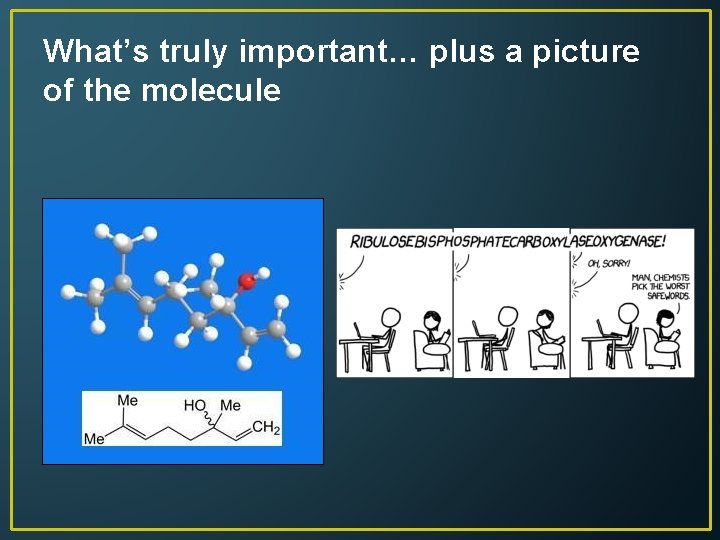 What’s truly important… plus a picture of the molecule 