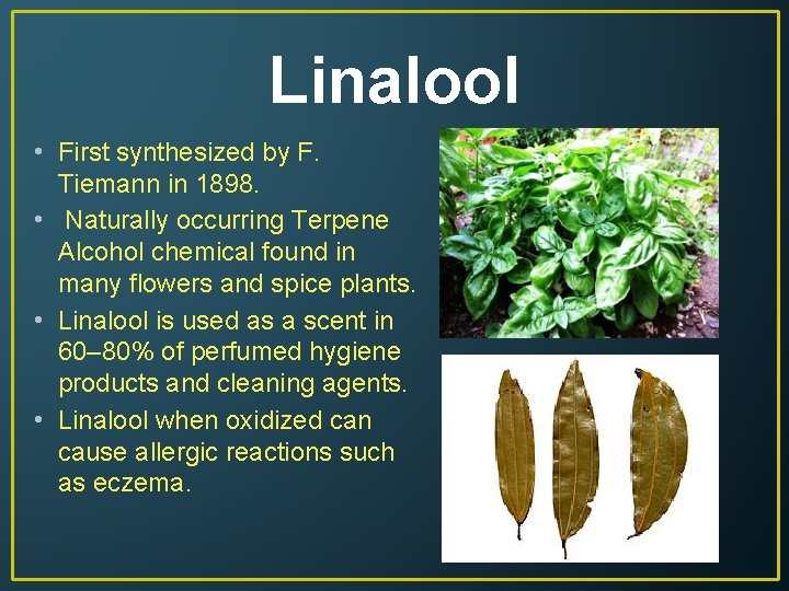 Linalool • First synthesized by F. Tiemann in 1898. • Naturally occurring Terpene Alcohol