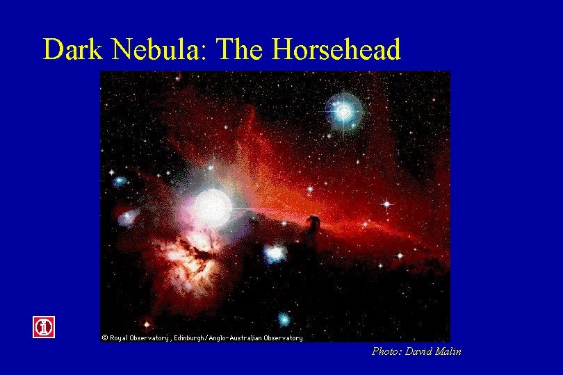 Dark Nebula: The Horsehead Photo: David Malin 