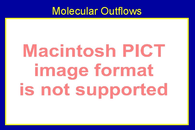 Molecular Outflows 