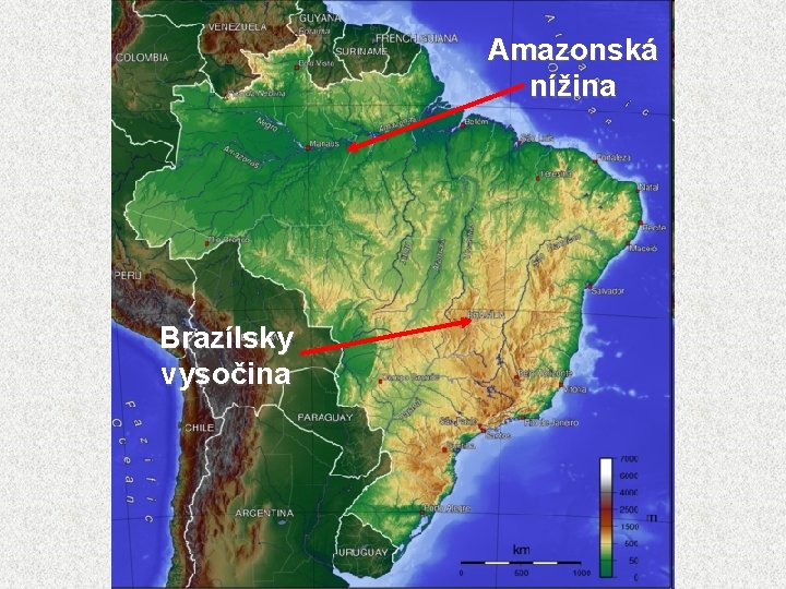 Amazonská nížina Brazílsky vysočina 