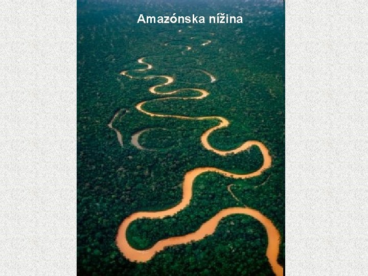 Amazónska nížina 