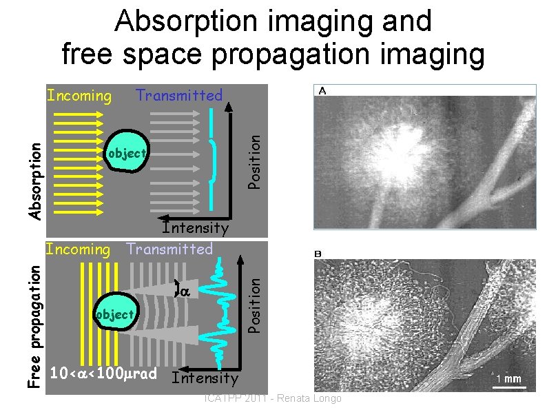 Absorption imaging and free space propagation imaging Position object Incoming Free propagation Transmitted Intensity