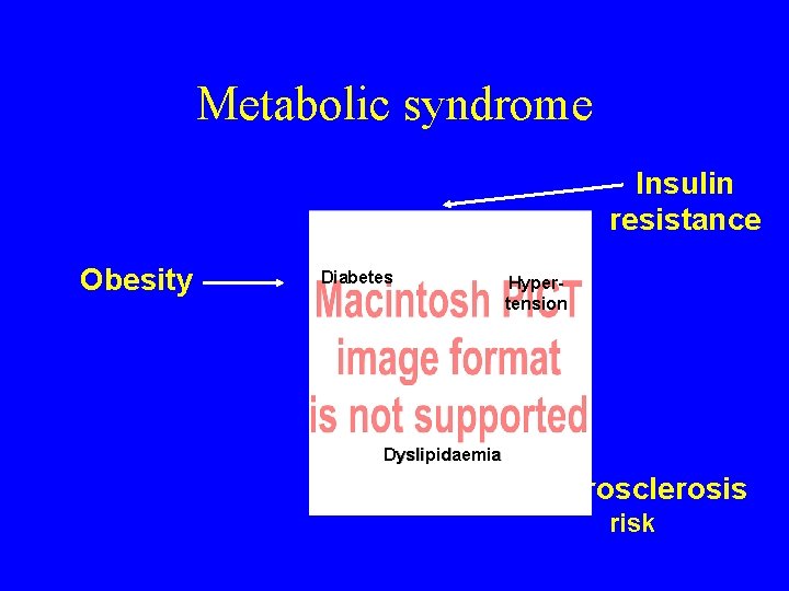 Metabolic syndrome Insulin resistance Obesity Diabetes Hypertension Dyslipidaemia Atherosclerosis risk 