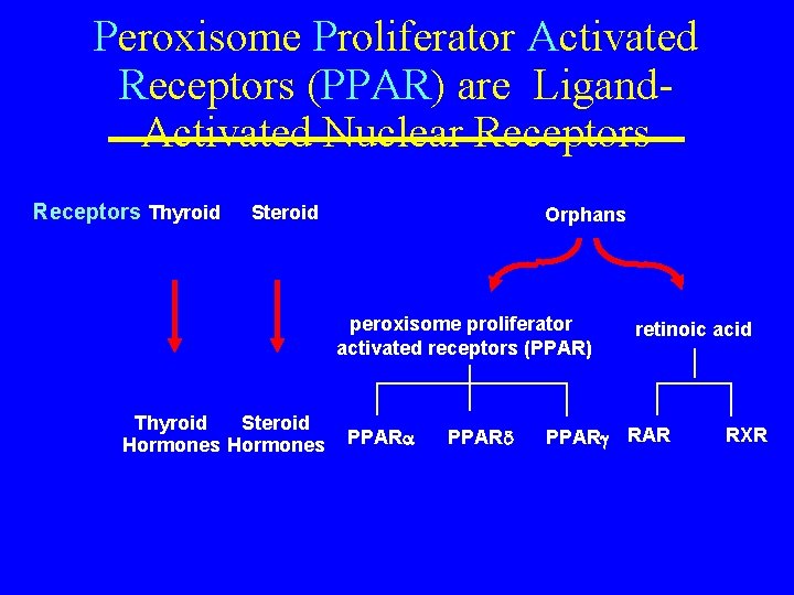 Peroxisome Proliferator Activated Receptors (PPAR) are Ligand. Activated Nuclear Receptors Thyroid Steroid Orphans peroxisome